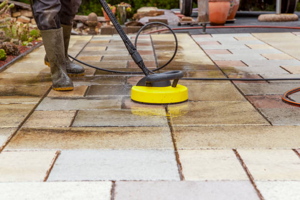 Best Soft Washing for Delicate Surfaces in Easton, MD